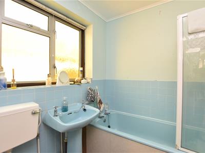 Picture 14